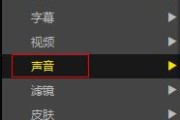 PotPlayer如何切换声音输出轨道?PotPlayer切换声音输出轨道的方法