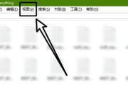 Everything怎么预览文档?Everything预览文档的方法