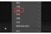 PotPlayer怎么旋转图像?PotPlayer旋转图像的方法