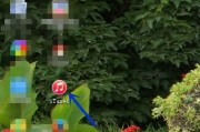 iTunes怎么备份手机里的所有内容?iTunes备份手机里的所有内容教程