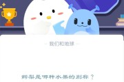 小鸡宝宝考考你鳄梨是哪种水果的别称?支付宝蚂蚁庄园12月14日答案